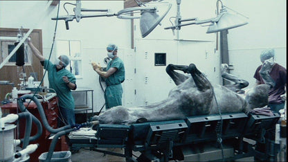Zoo: KinoKontrovers