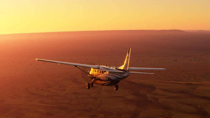 Microsoft Flight Simulator