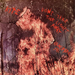 DONT TAKE THE LIGHT AWAY / REMEMBER ME. (RED)