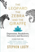 Leopard, the Zebra and the Giraffe: Depression, Breakdown, Discovery and Recovery