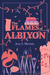 The Flames of Albiyon