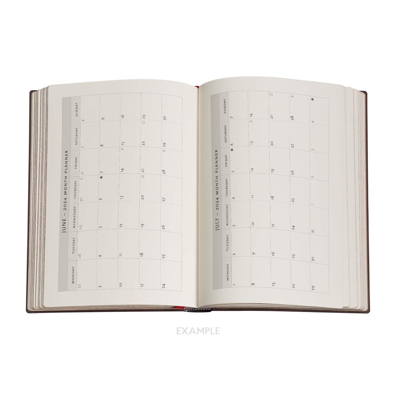 Oceania (Diamond Rosette) Midi 12-month Day-at-a-Time Dayplanner 2024