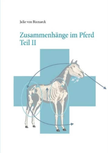 Zusammenhänge im Pferd Teil II