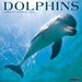 Dolphins 2024 12 X 12 Wall Calendar