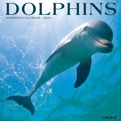 Dolphins 2024 12 X 12 Wall Calendar
