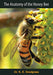 The Anatomy of the Honey Bee
