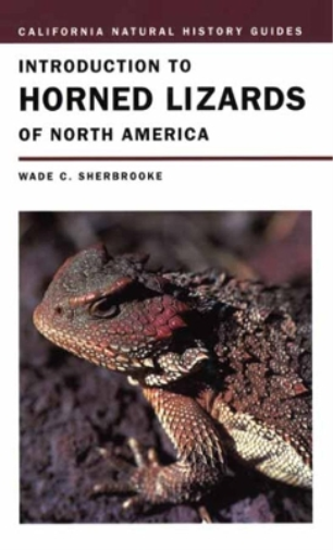 Introduction to Horned Lizards of North America