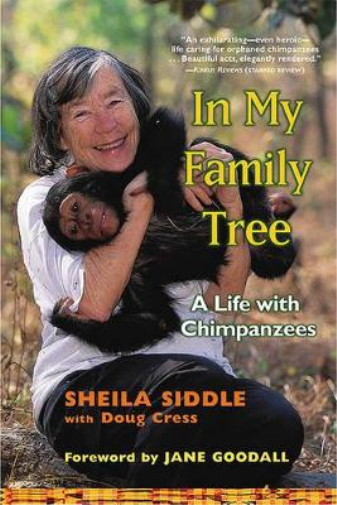 In My Family Tree