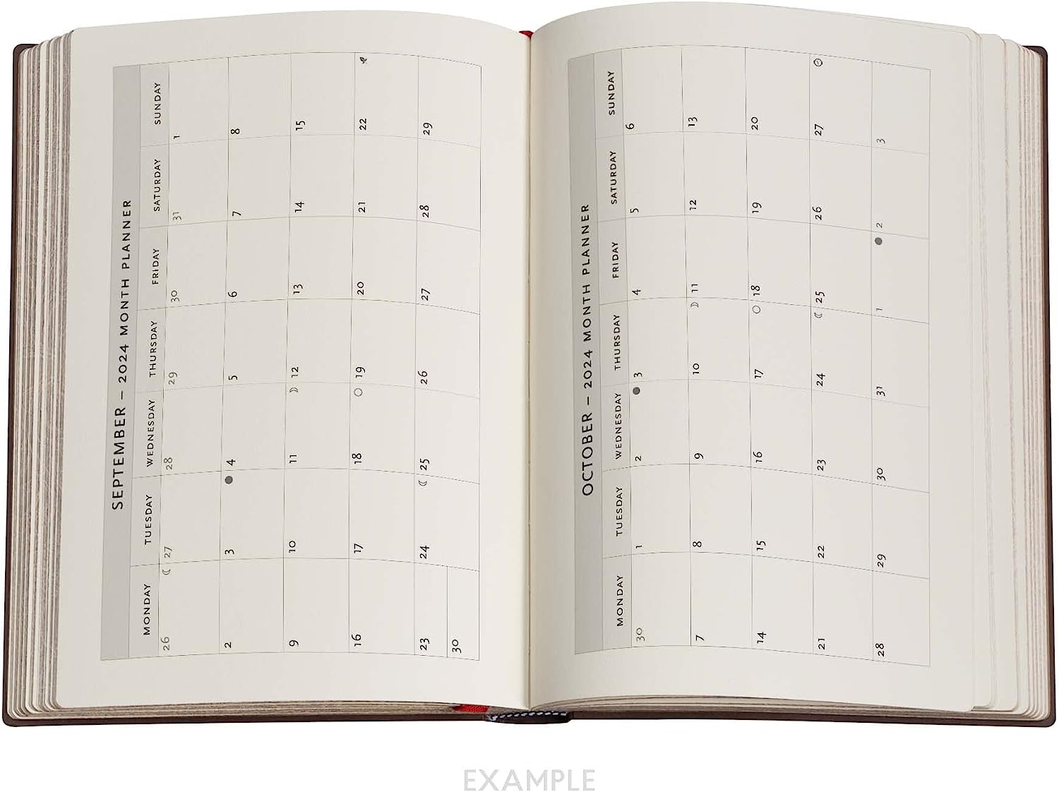 Restoration (The Queen’s Binding) Midi 18-month Dayplanner 2024