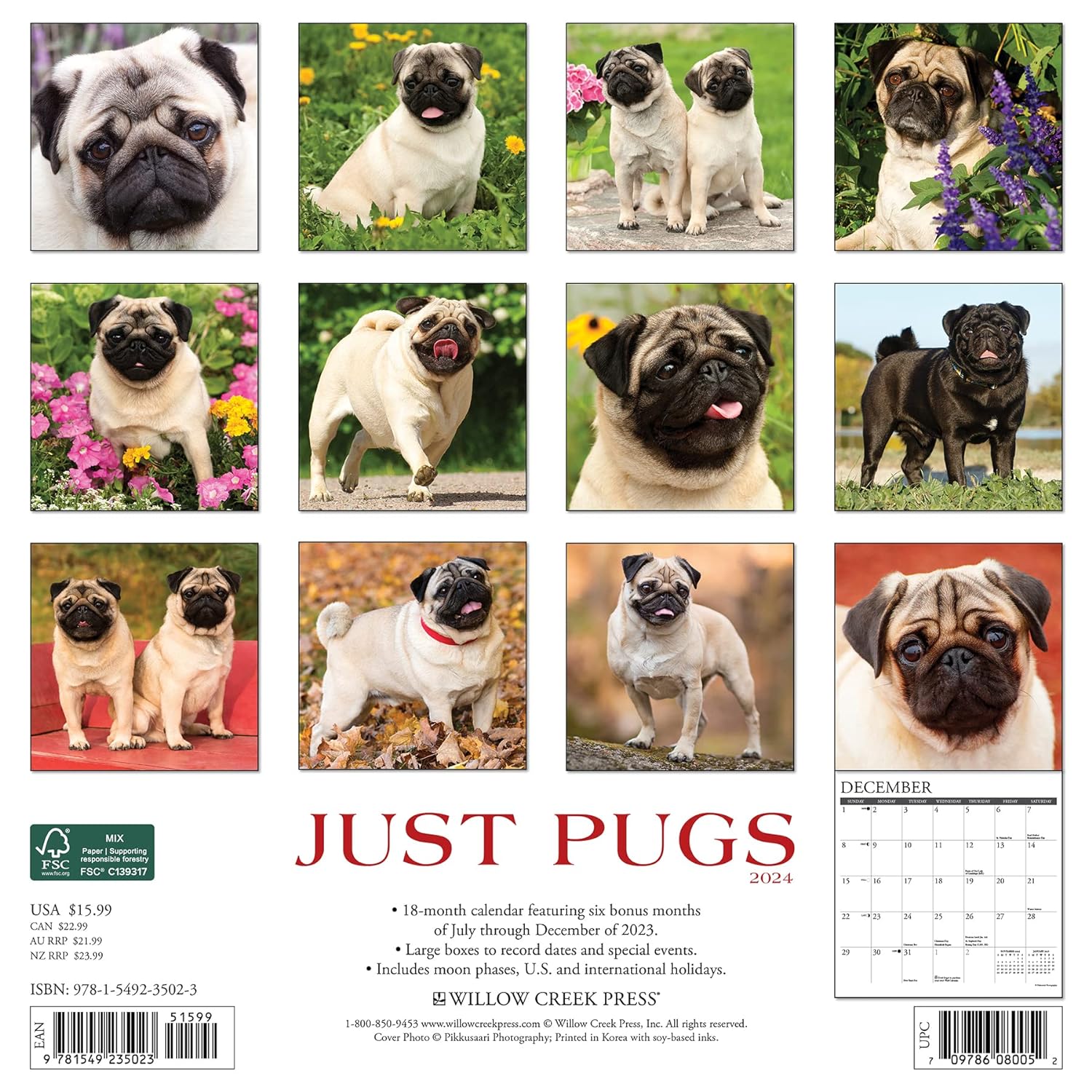 Just Pugs 2024 12 X 12 Wall Calendar