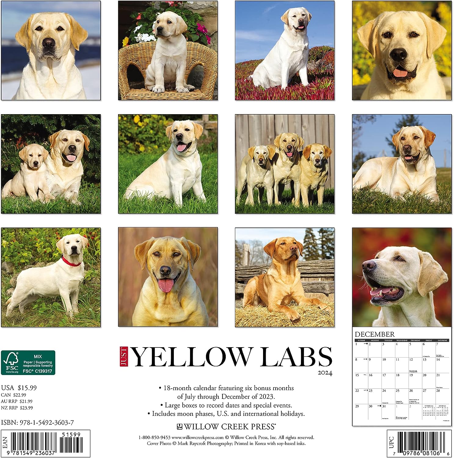Just Yellow Labs 2024 12 X 12 Wall Calendar