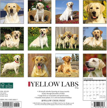 Just Yellow Labs 2024 12 X 12 Wall Calendar