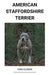 American Staffordshire Terrier