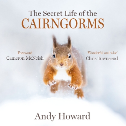 The Secret Life of the Cairngorms