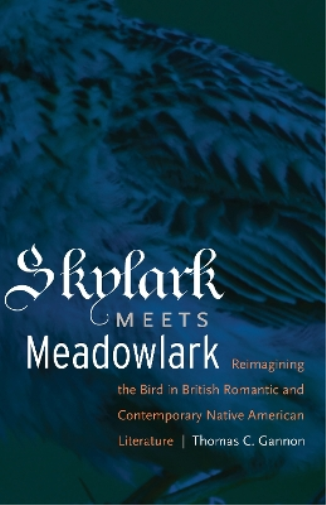 Skylark Meets Meadowlark