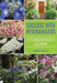 Success With Hydrangeas