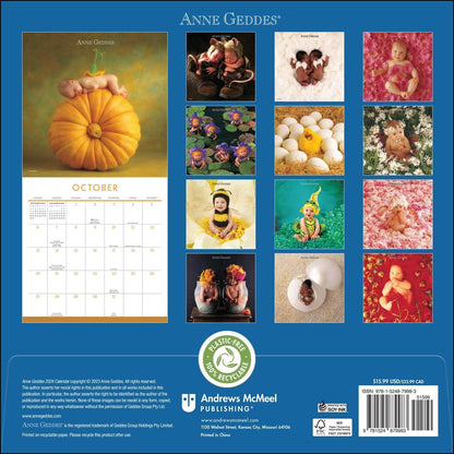 Anne Geddes 2024 Wall Calendar