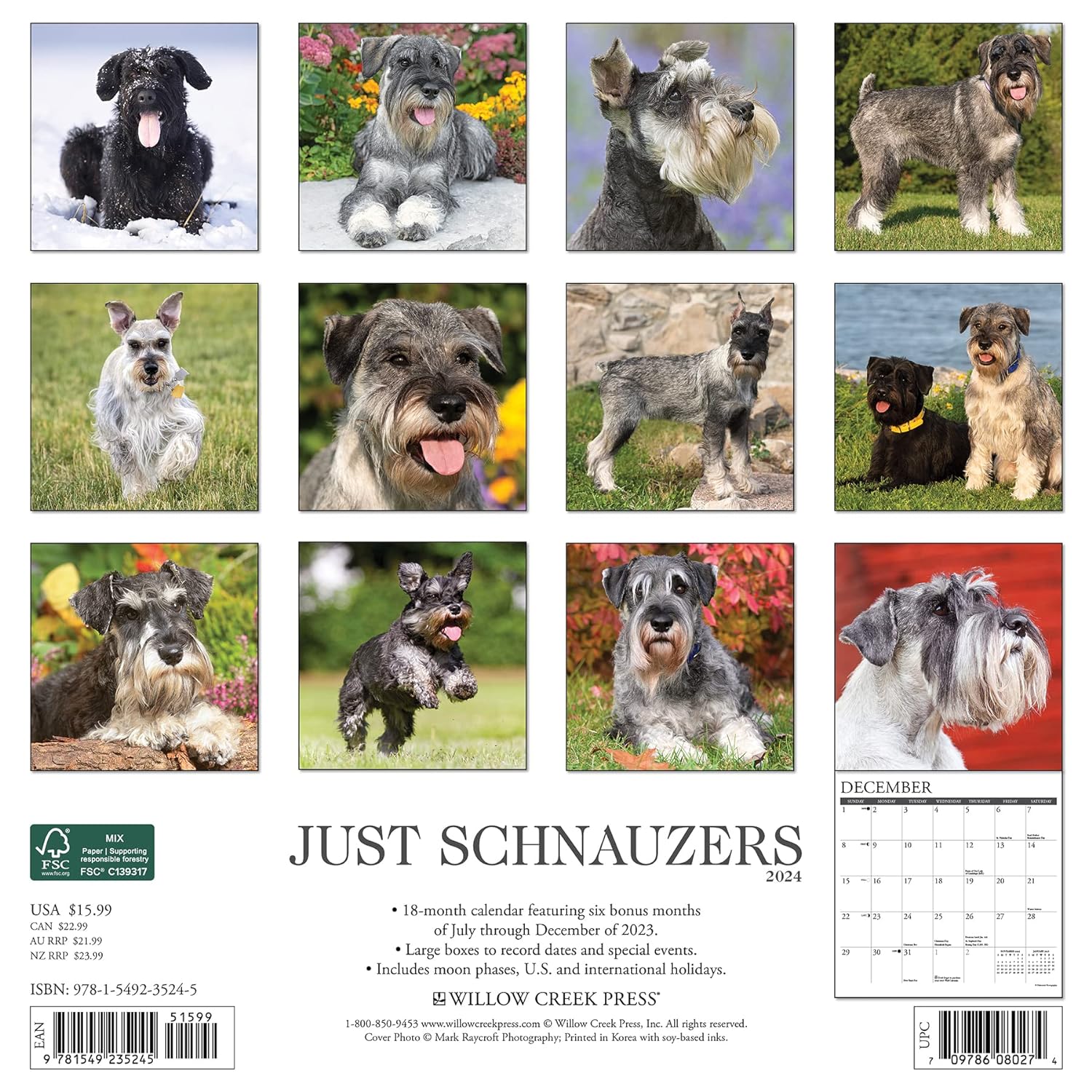 Just Schnauzers 2024 12 X 12 Wall Calendar