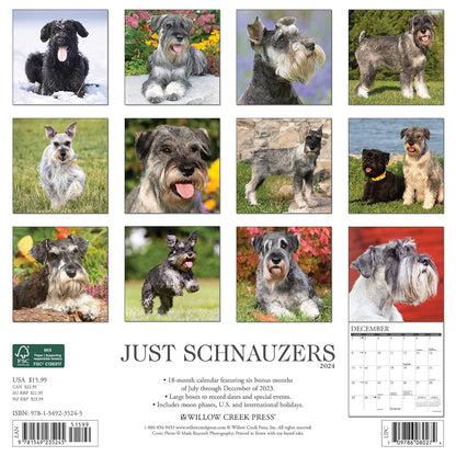 Just Schnauzers 2024 12 X 12 Wall Calendar