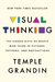 Visual Thinking