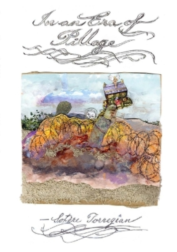 Interior Pre-Drywall Inspection