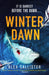 Winter Dawn
