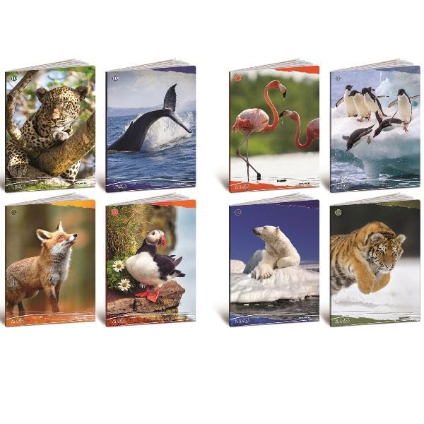 Cf10 Quaderno Animali 100G A4 5M