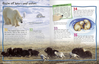 100 Facts Polar Lands