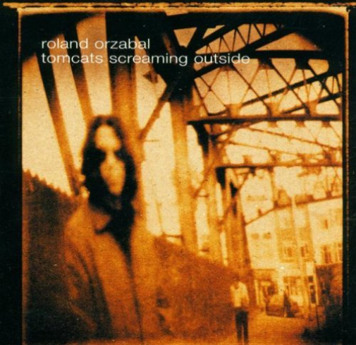 Tomcats Screaming Outside
