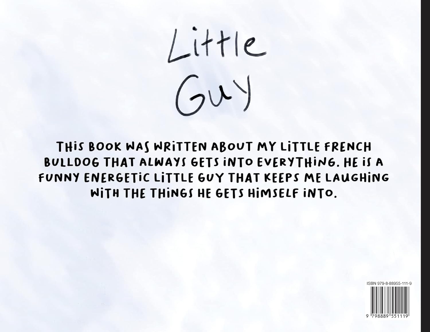 Little Guy