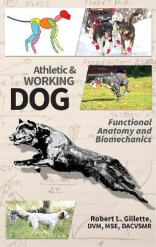 Athletic and Working Dog