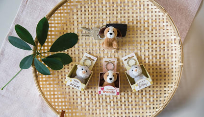 Nici - Nici Pluchen Sleutelhanger Kat Forever Friends in Geschenkdo
