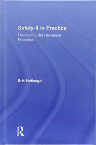 Safety-II in Practice