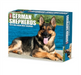 German Shepherds 2023 Box Calendar