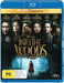 MOVIE - INTO THE WOODS (1 BLU-RAY)