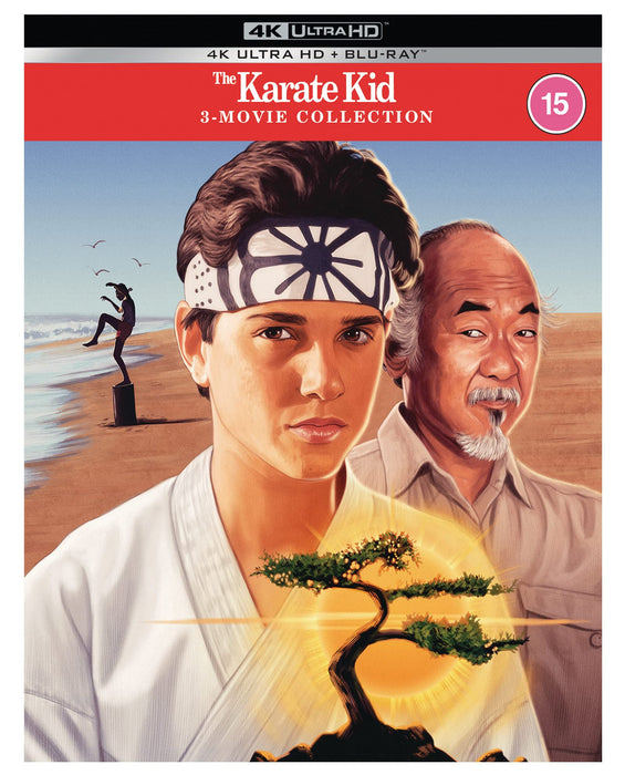 The Karate Kid/The Karate Kid 2/The Karate Kid 3
