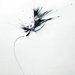 Guix: Images of Broken Light