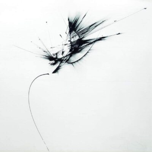 Guix: Images of Broken Light