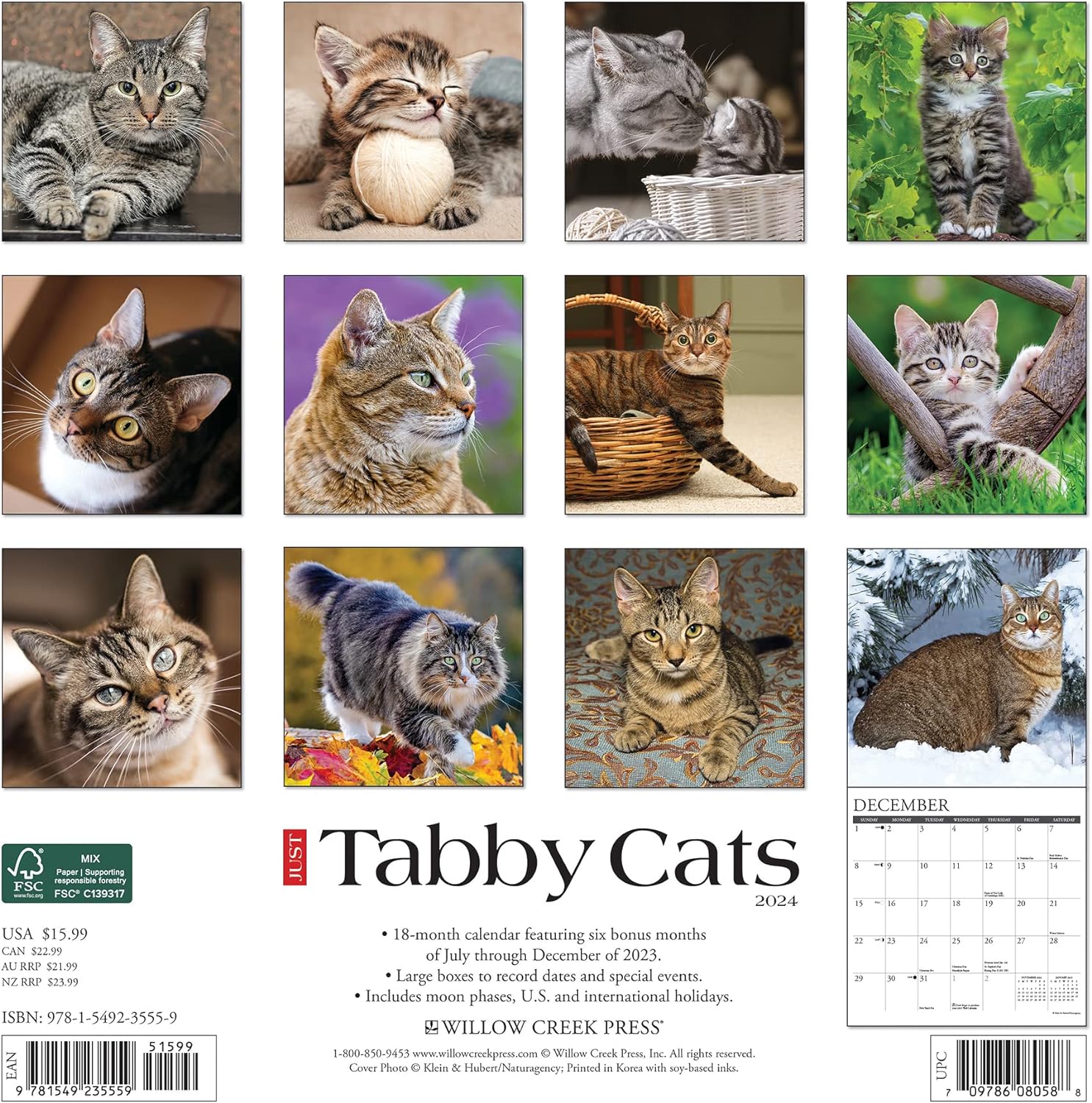 Just Tabby Cats 2024 12 X 12 Wall Calendar
