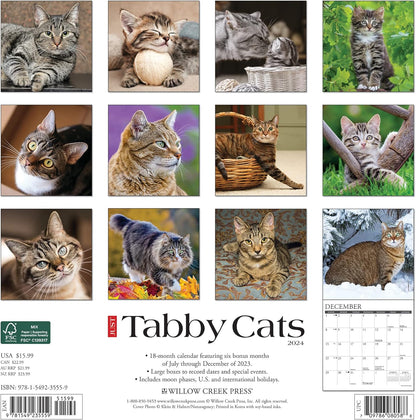 Just Tabby Cats 2024 12 X 12 Wall Calendar