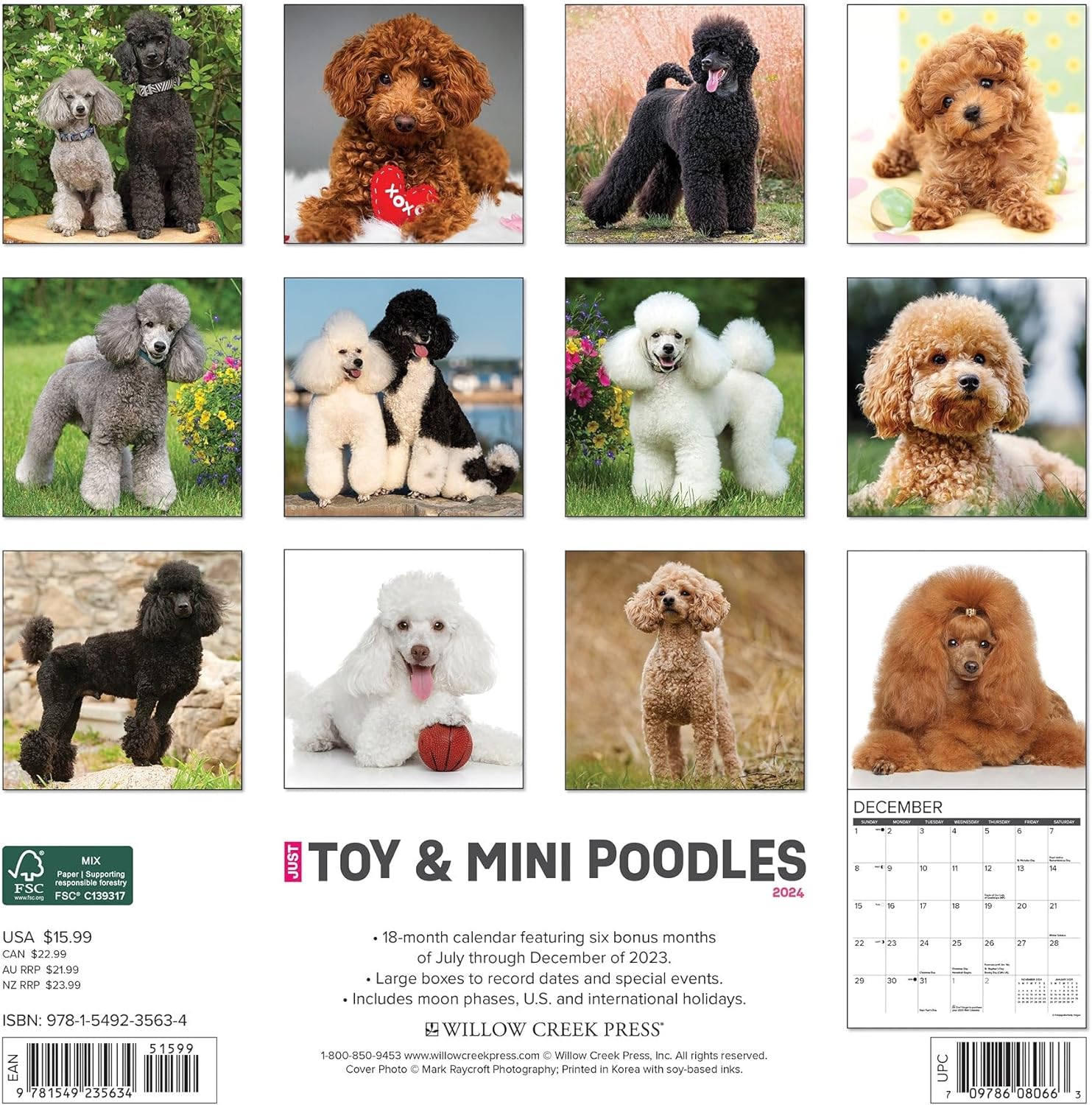 Just Toy & Miniature Poodles 2024 12 X 12 Wall Calendar