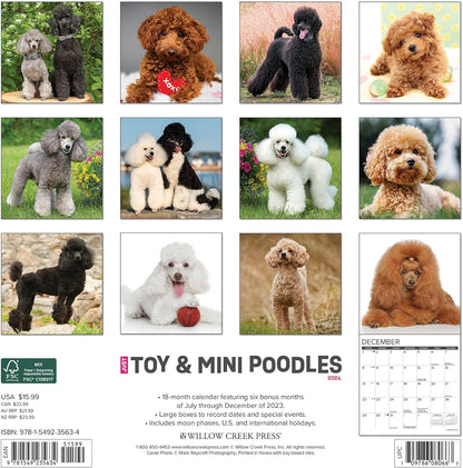 Just Toy & Miniature Poodles 2024 12 X 12 Wall Calendar