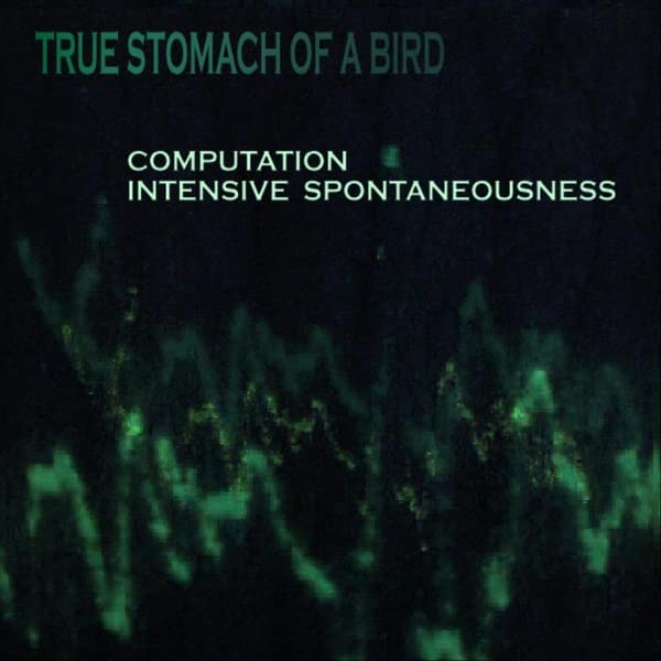 True Stomach Of A Bird