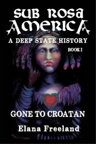 Sub Rosa America, Book I