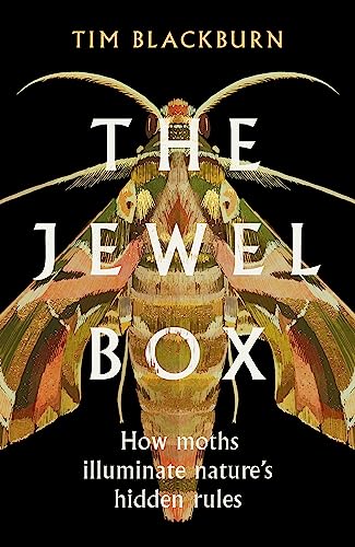 Jewel Box