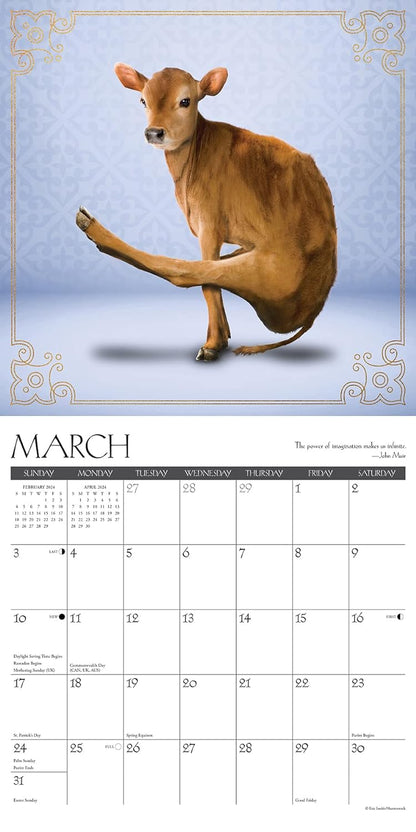Cow Yoga 2024 12 X 12 Wall Calendar