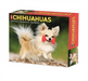 Chihuahuas 2023 Box Calendar