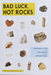 Bad Luck, Hot Rocks: Conscience Letters and Photographs from the Petrified Forest