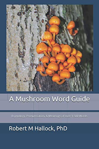 Mushroom Word Gd