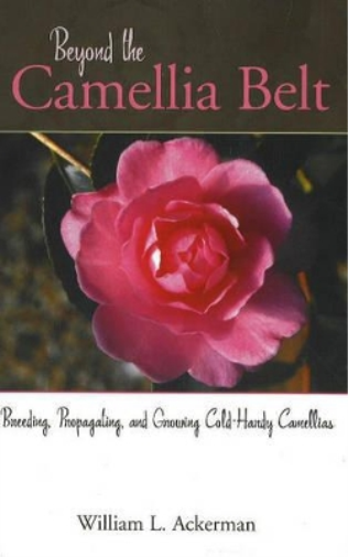 Beyond the Camellia Belt
